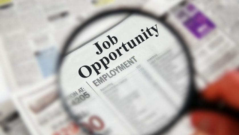hiring job dp10369506
