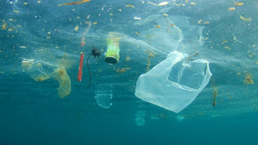 water pollution ss556842991
